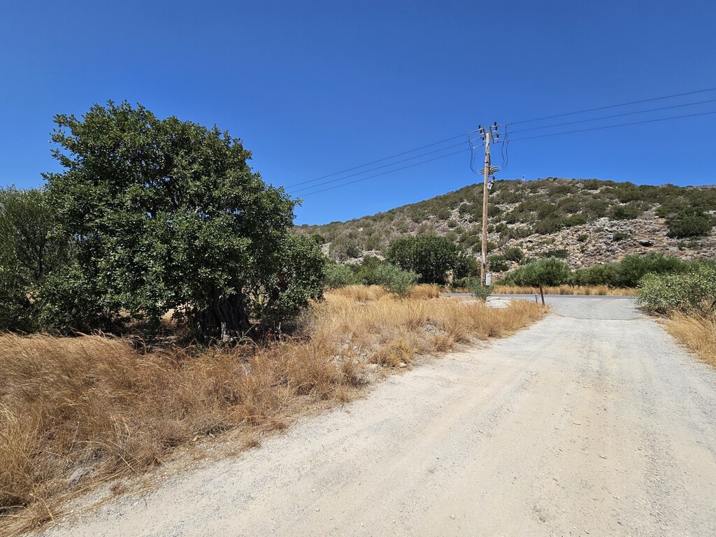 Land in Ierapetra, Lasithi Prefecture, Greece – 66797