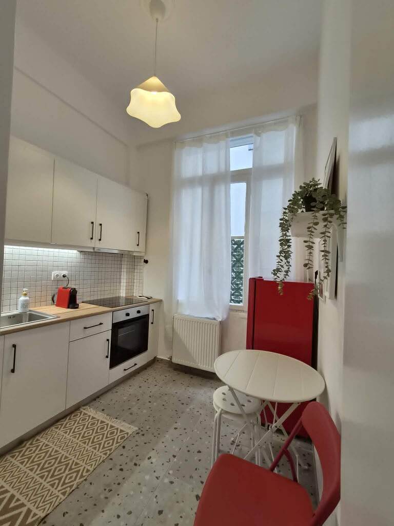 2 bedroom Flat in Kipseli, Athens – Center, Greece – 66772