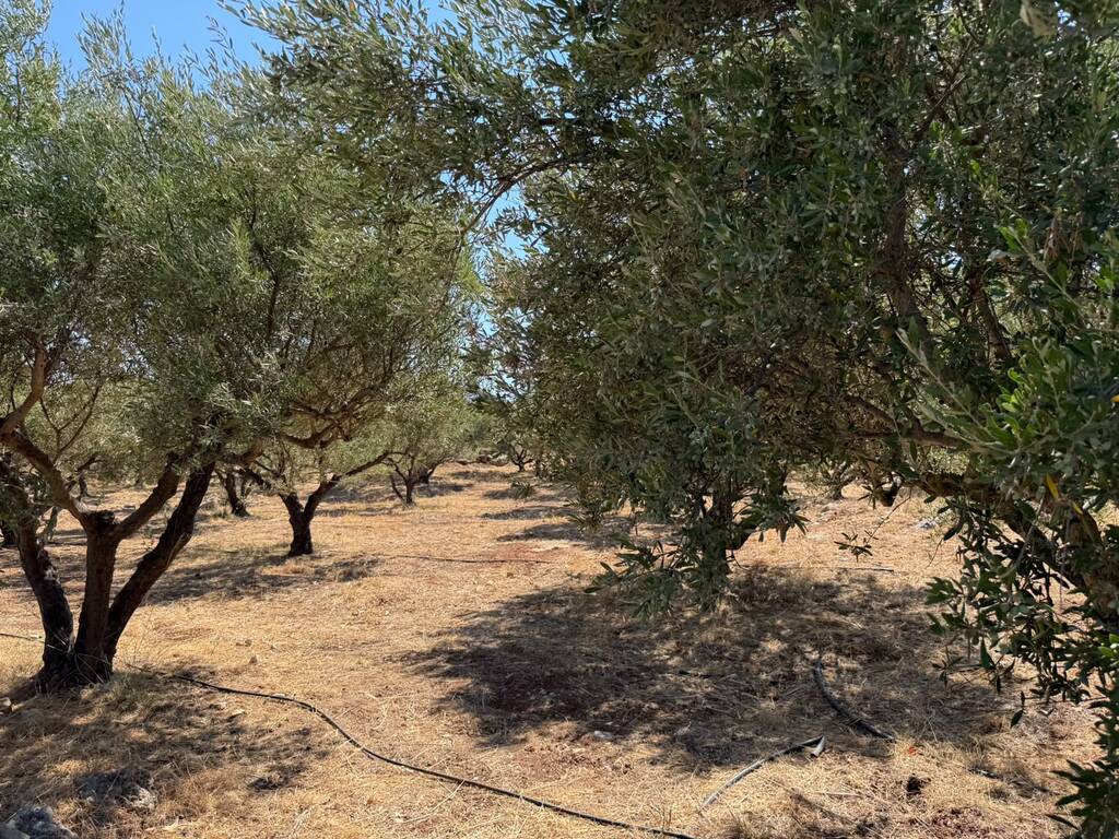 Land in Souda, Chania Prefecture, Greece – 66771