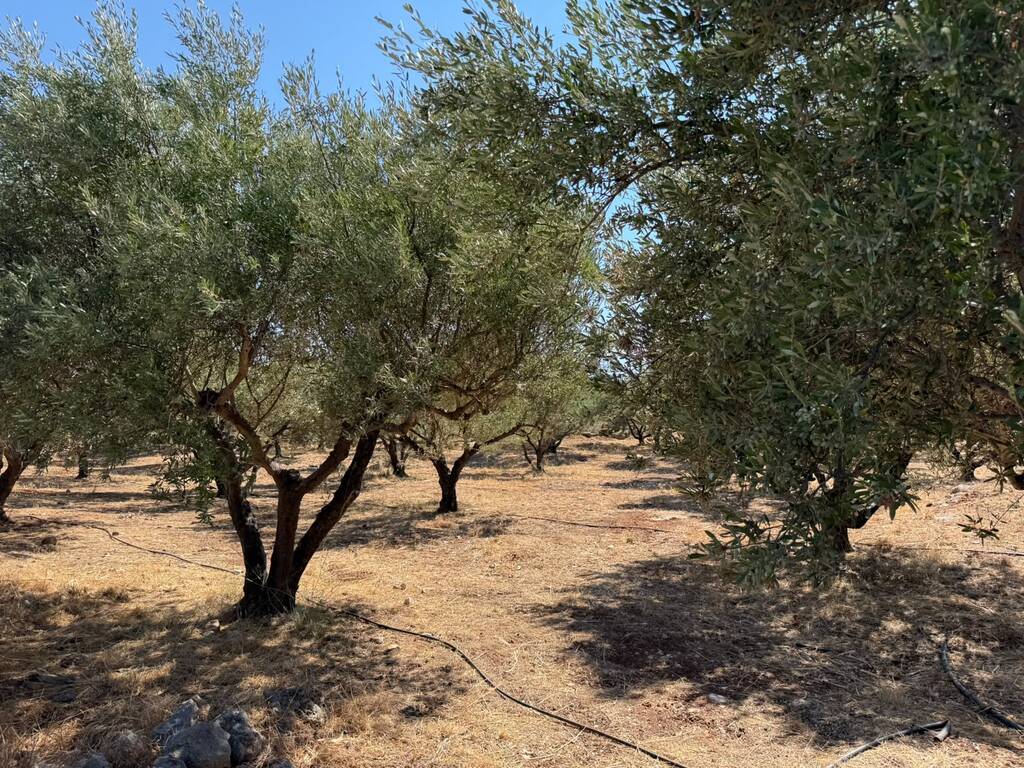 Land in Souda, Chania Prefecture, Greece – 66771