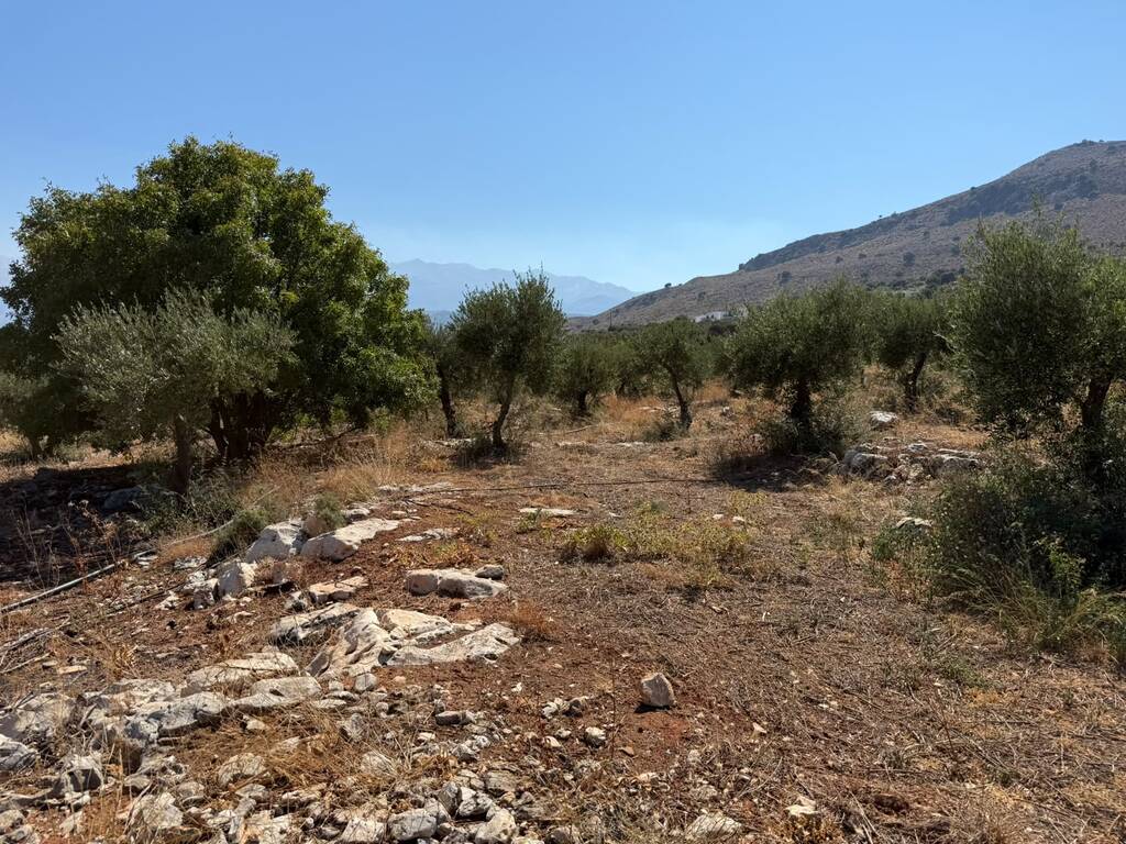 Land in Souda, Chania Prefecture, Greece – 66771