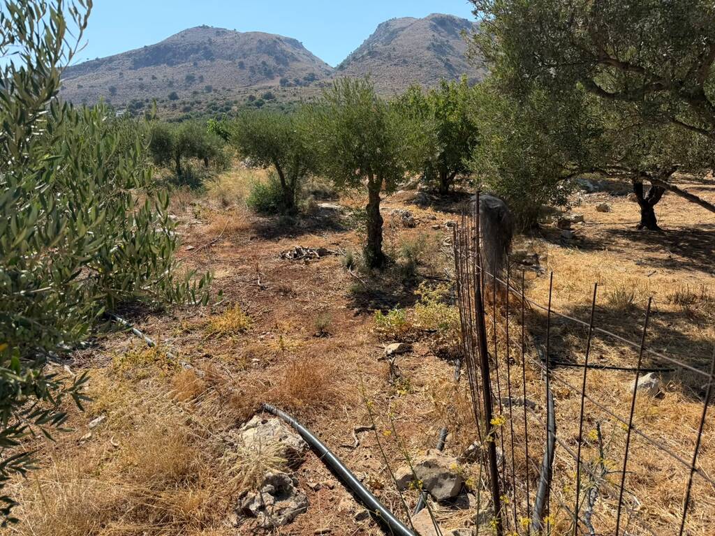 Land in Souda, Chania Prefecture, Greece – 66771