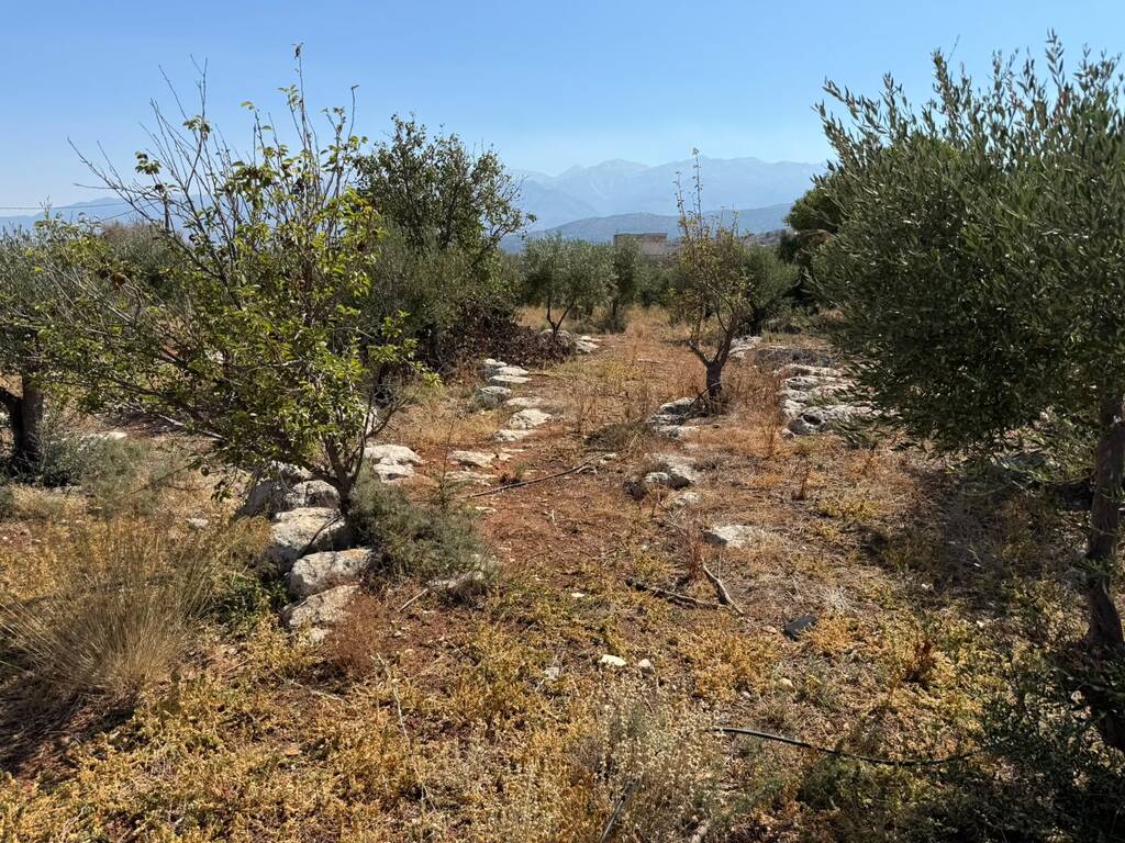Land in Souda, Chania Prefecture, Greece – 66769
