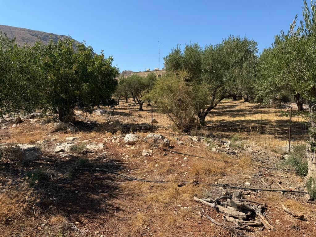 Land in Souda, Chania Prefecture, Greece – 66769
