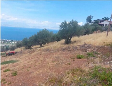 Land in Xilokastro, Corinthia, Greece – 66765