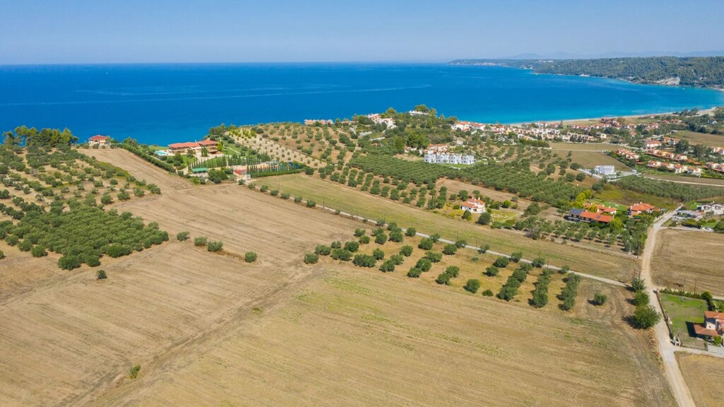 Land in Kassandra, Chalkidiki, Greece – 49699