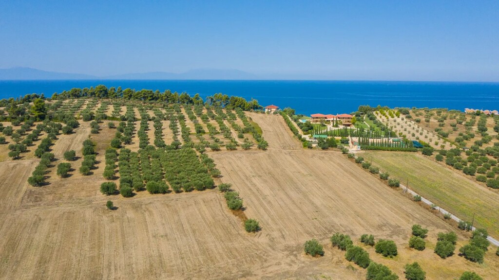 Land in Kassandra, Chalkidiki, Greece – 49699
