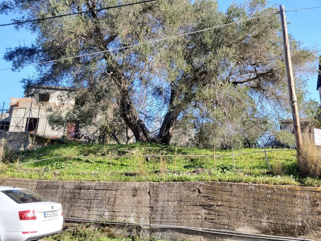 Land in Corfu, Corfu Prefecture, Greece – 49675