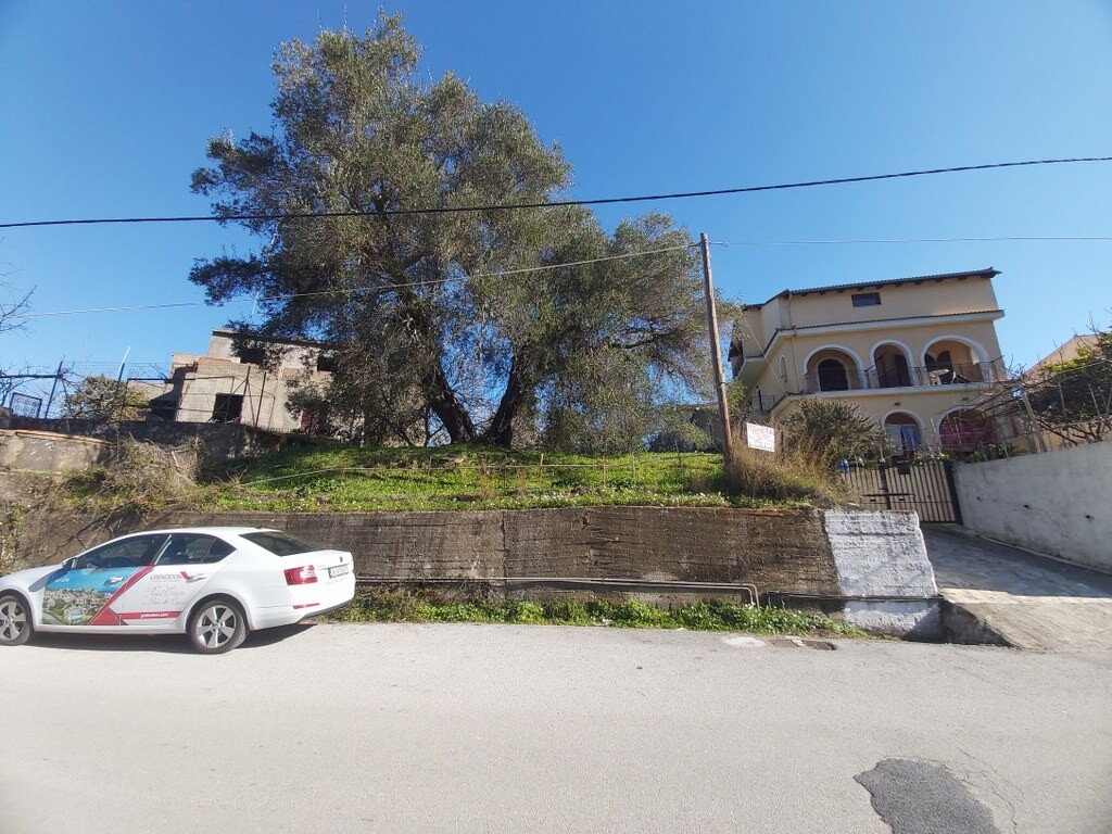 Land in Corfu, Corfu Prefecture, Greece – 49675