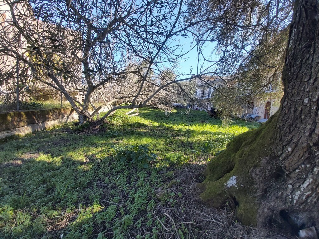 Land in Corfu, Corfu Prefecture, Greece – 49675