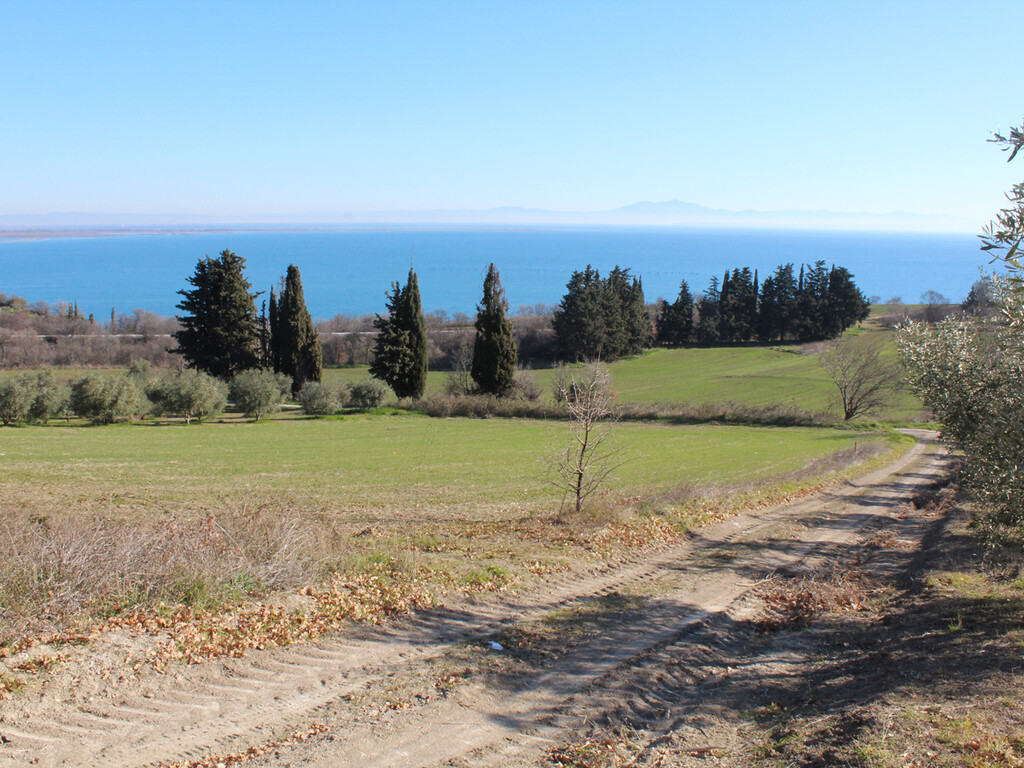 Land in Kolindros, Pieria Prefecture, Greece – 49648