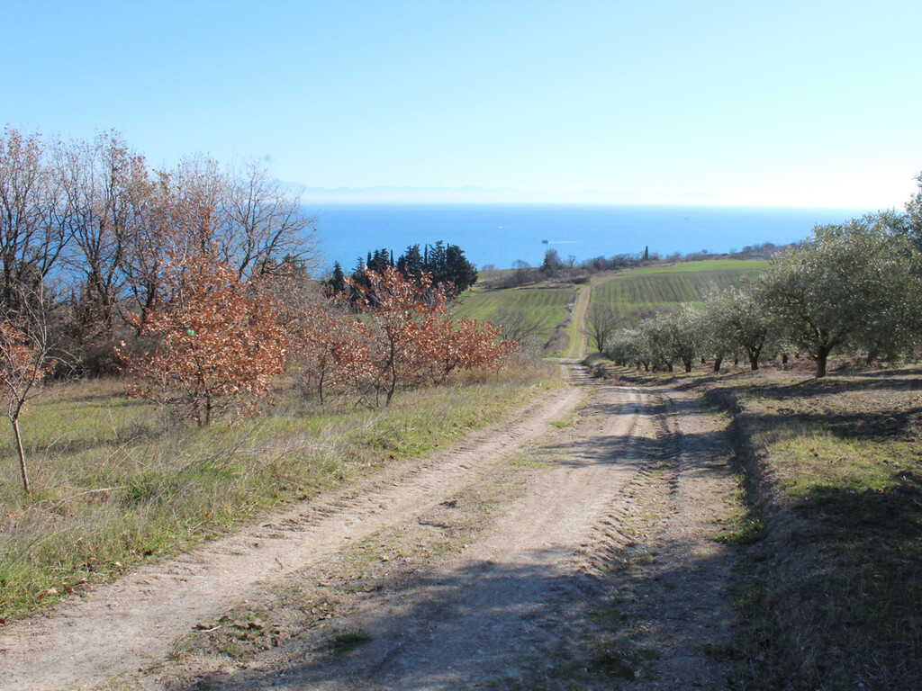 Land in Kolindros, Pieria Prefecture, Greece – 49646