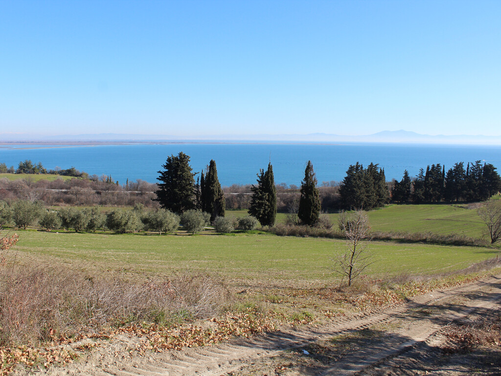 Land in Kolindros, Pieria Prefecture, Greece – 49645