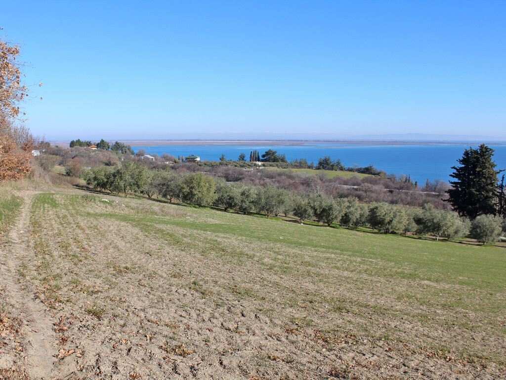 Land in Kolindros, Pieria Prefecture, Greece – 49645