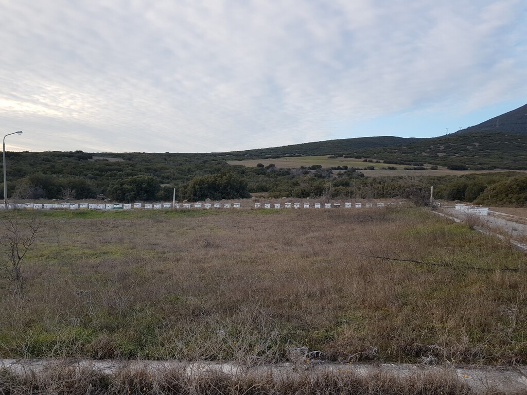 Land in Thermi, Thessaloniki – Suburbs, Greece – 49633