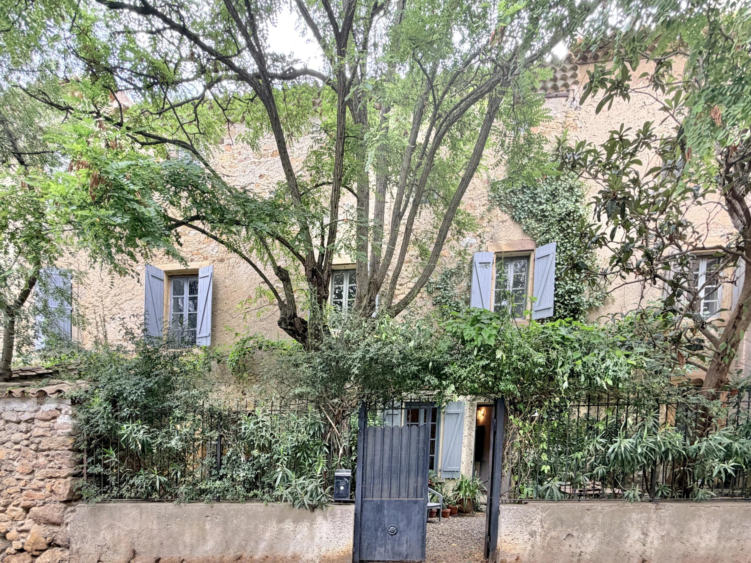 Authentic Stone House divided in 3 Independent Cottages in heart of Languedoc wine region, Languedoc-Roussillon – France – BVI86900