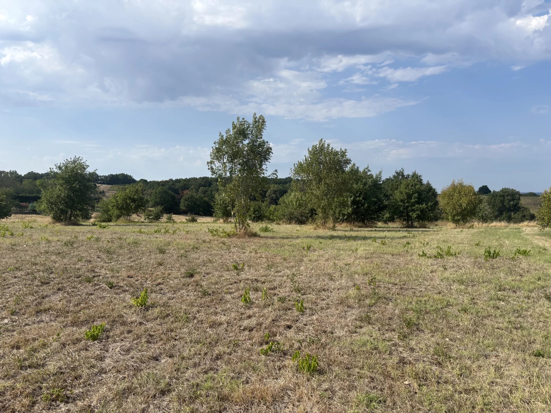 Constructible land with a lovely view, Poitou-Charentes – France – BVI86568
