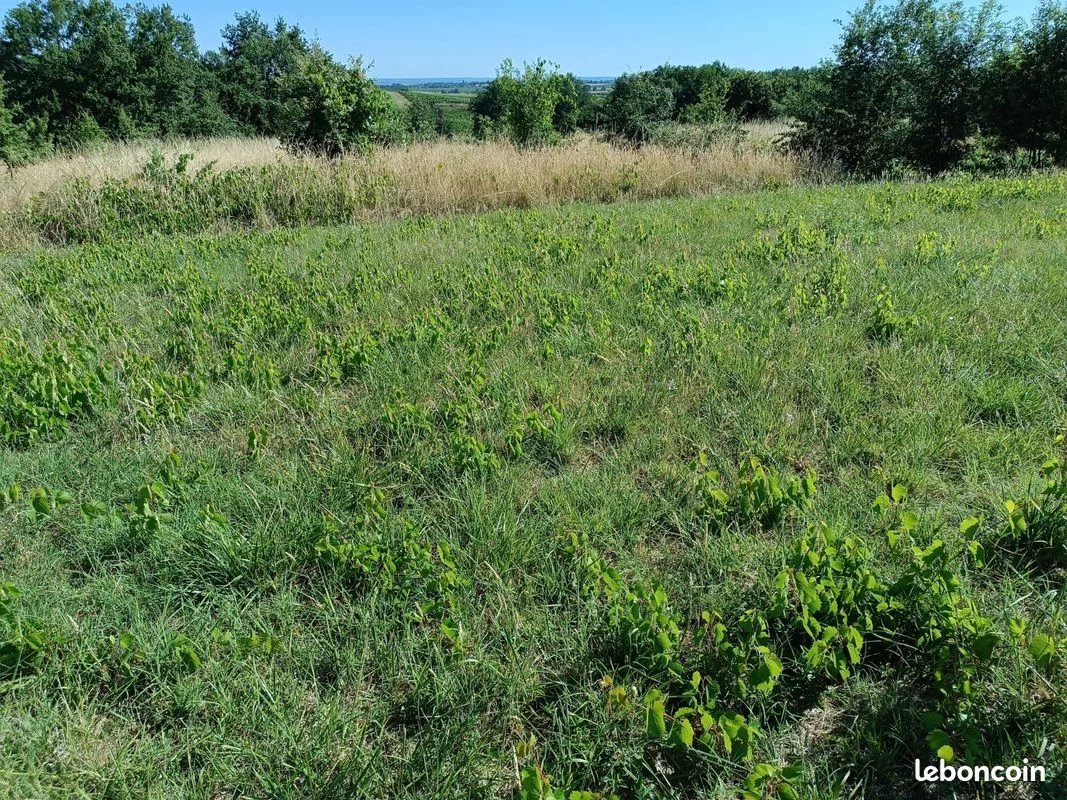 Constructible land with a lovely view, Poitou-Charentes – France – BVI86568