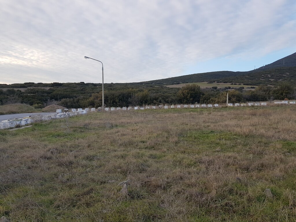 Land in Thermi, Thessaloniki – Suburbs, Greece – 49632