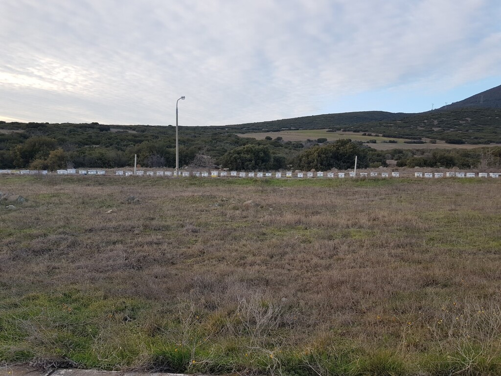 Land in Thermi, Thessaloniki – Suburbs, Greece – 49630