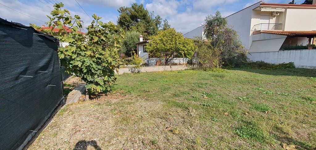 Land in Poligiros, Chalkidiki, Greece – 49625