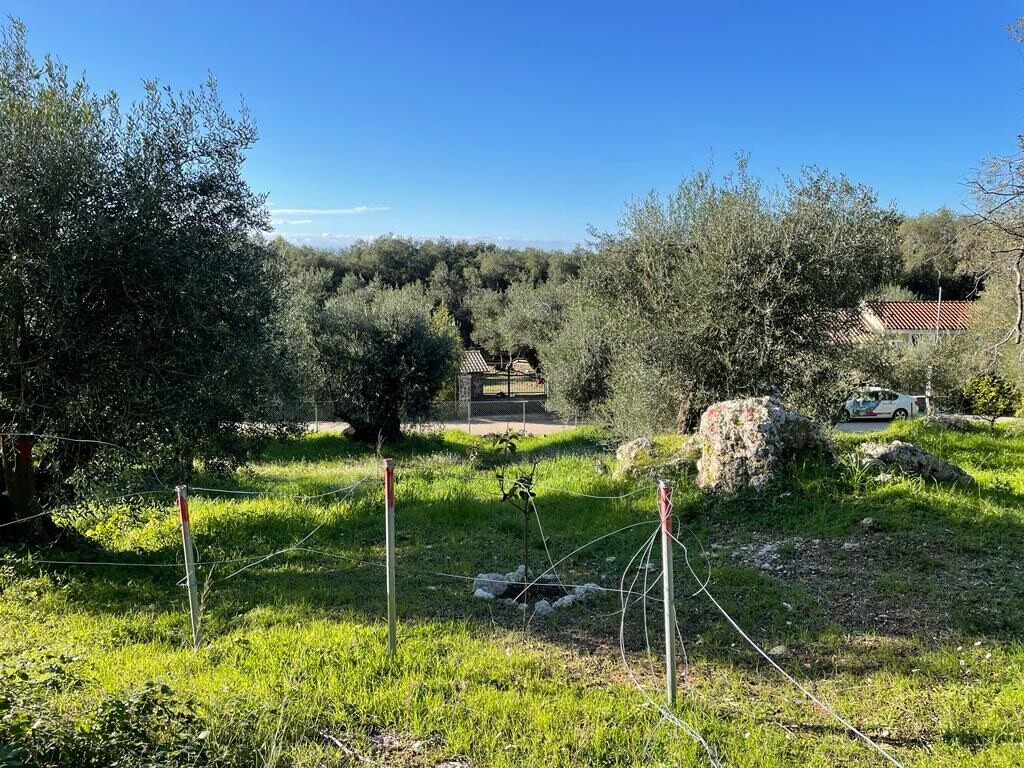 Land in Corfu, Corfu Prefecture, Greece – 49619