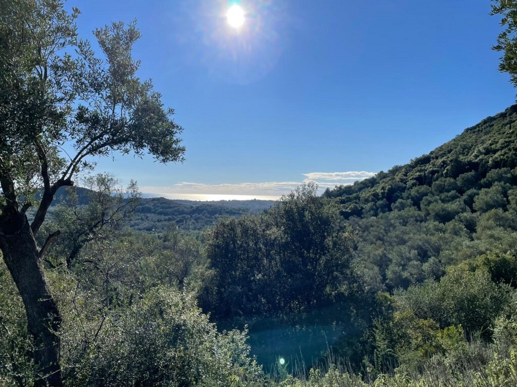 Land in Corfu, Corfu Prefecture, Greece – 49614