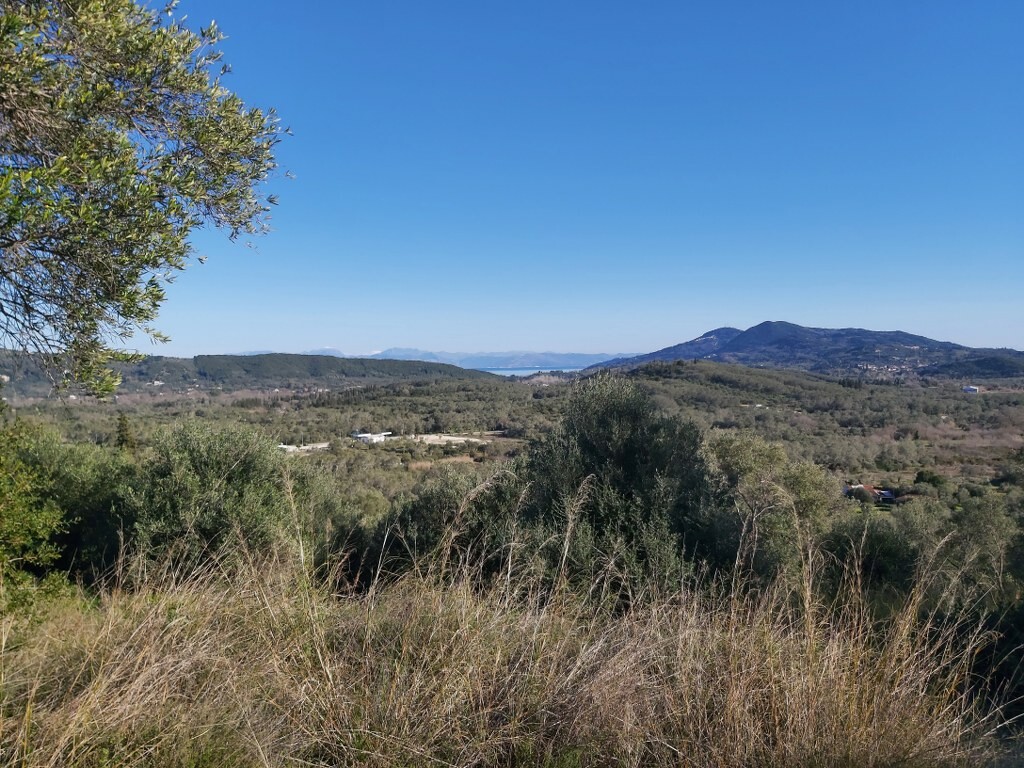Land in Corfu, Corfu Prefecture, Greece – 49614