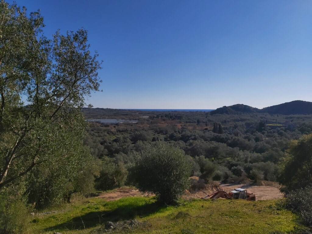 Land in Corfu, Corfu Prefecture, Greece – 49614