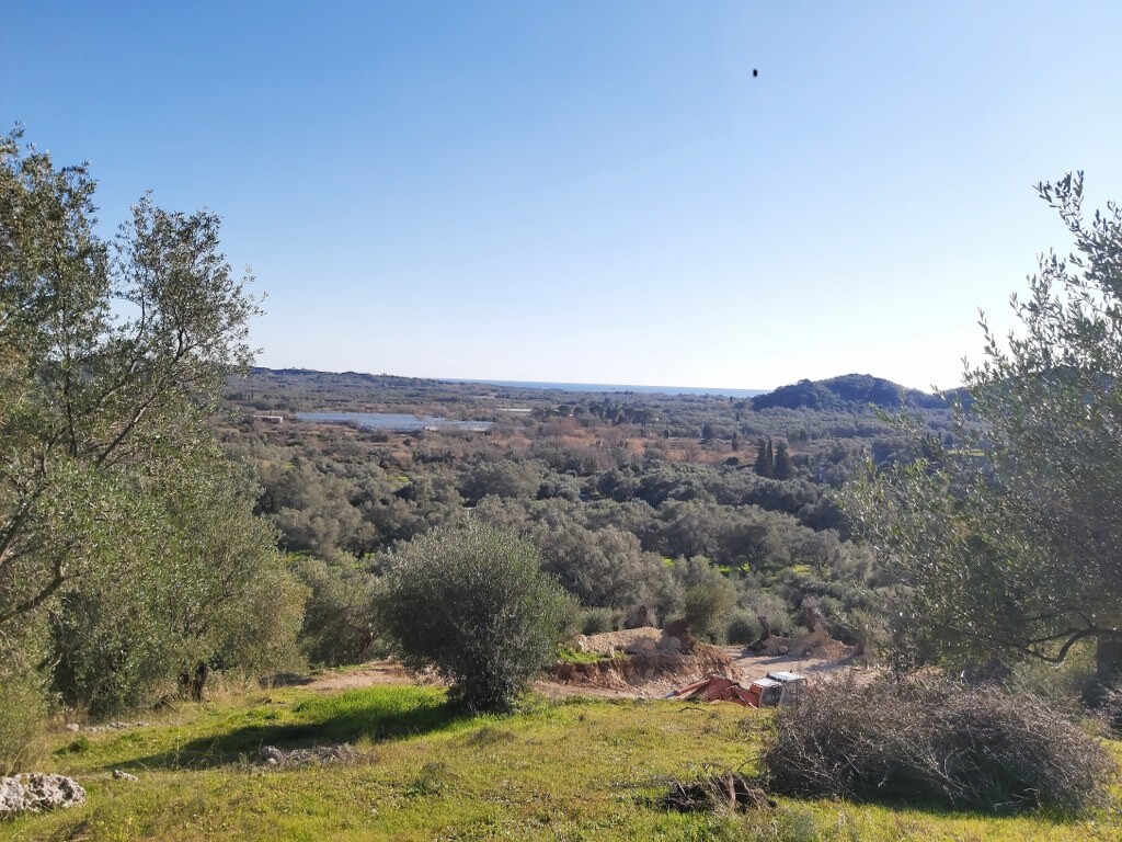 Land in Corfu, Corfu Prefecture, Greece – 49614