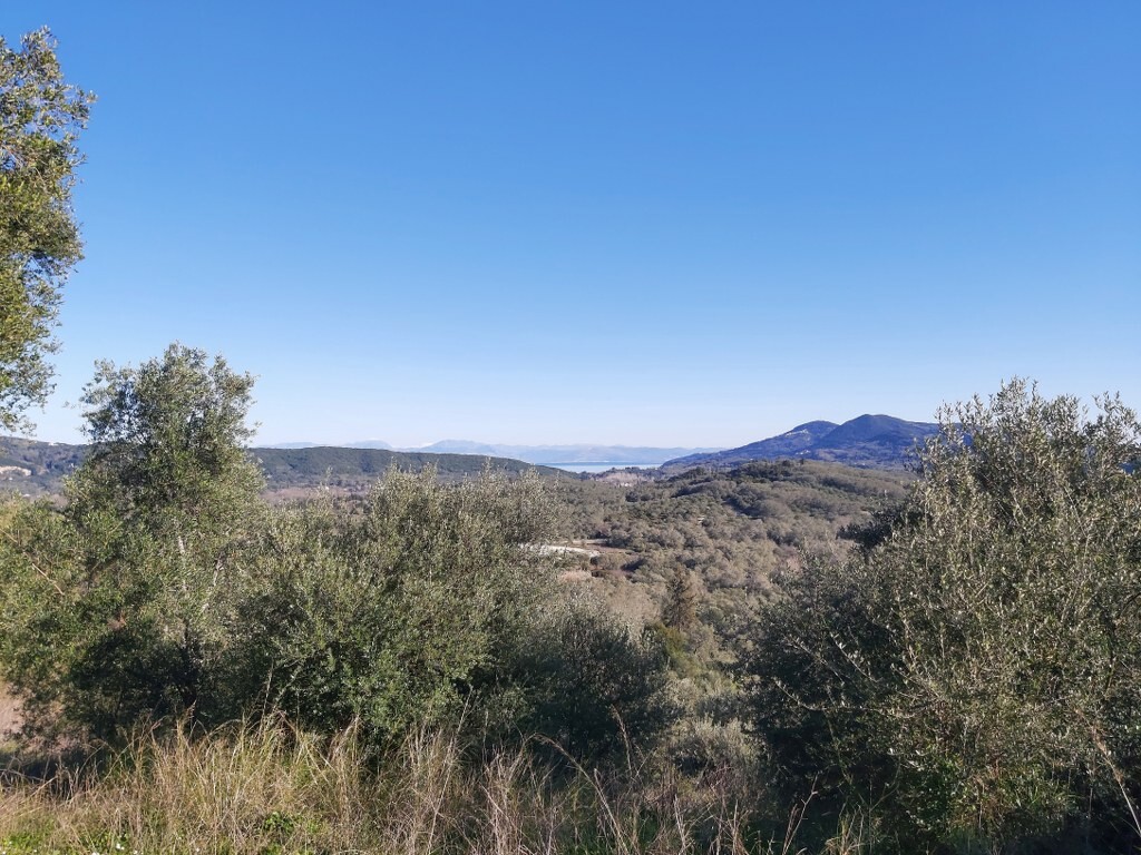 Land in Corfu, Corfu Prefecture, Greece – 49614