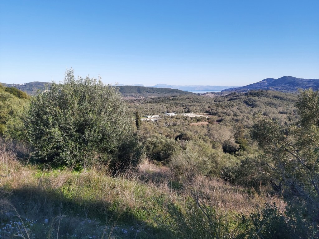 Land in Corfu, Corfu Prefecture, Greece – 49614