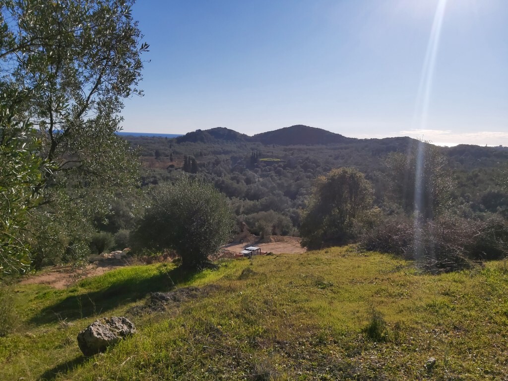 Land in Corfu, Corfu Prefecture, Greece – 49614
