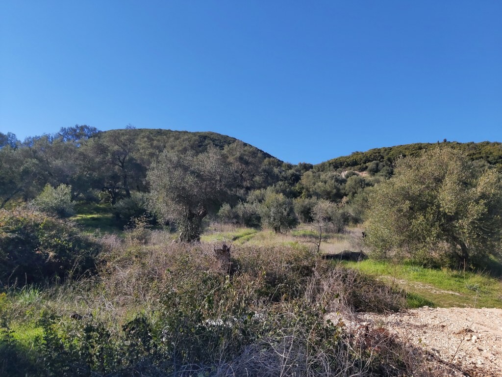 Land in Corfu, Corfu Prefecture, Greece – 49614