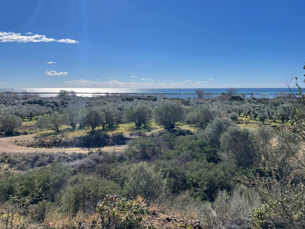 Land in Corfu, Corfu Prefecture, Greece – 49610