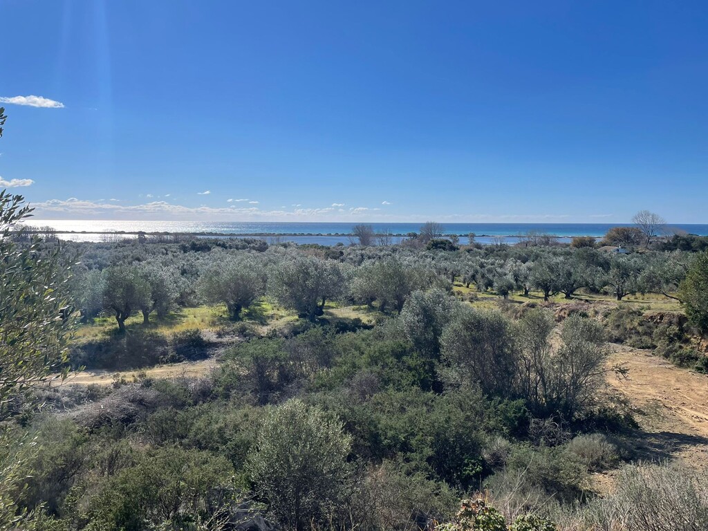 Land in Corfu, Corfu Prefecture, Greece – 49610