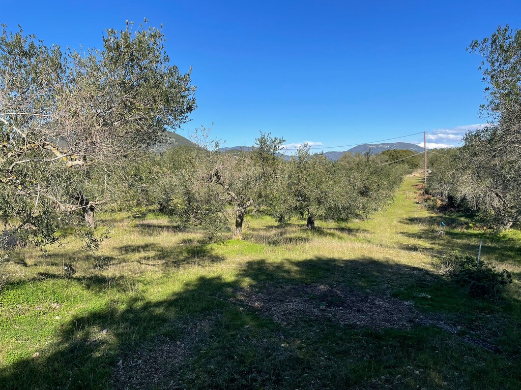 Land in Corfu, Corfu Prefecture, Greece – 49610