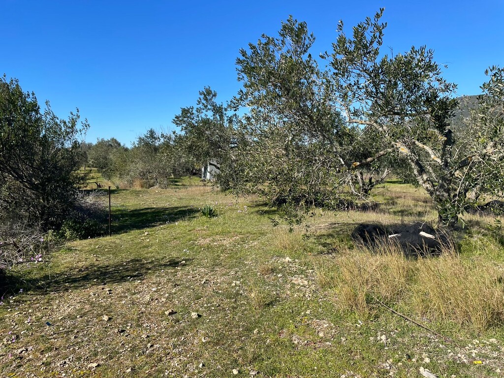 Land in Corfu, Corfu Prefecture, Greece – 49610