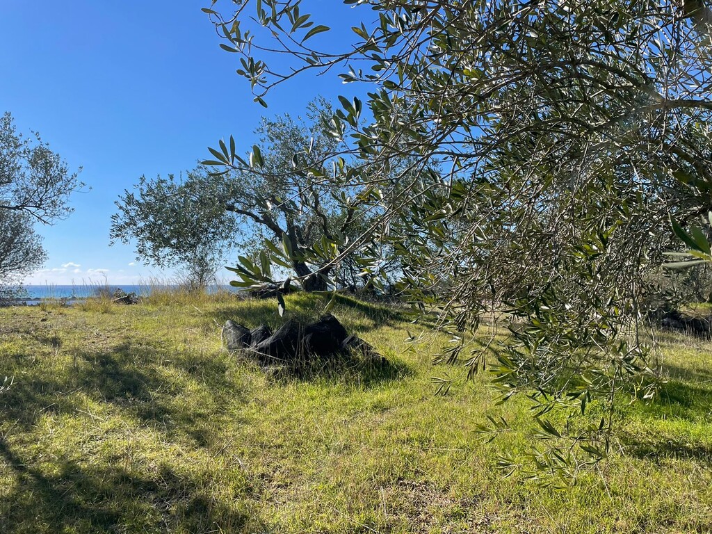 Land in Corfu, Corfu Prefecture, Greece – 49610