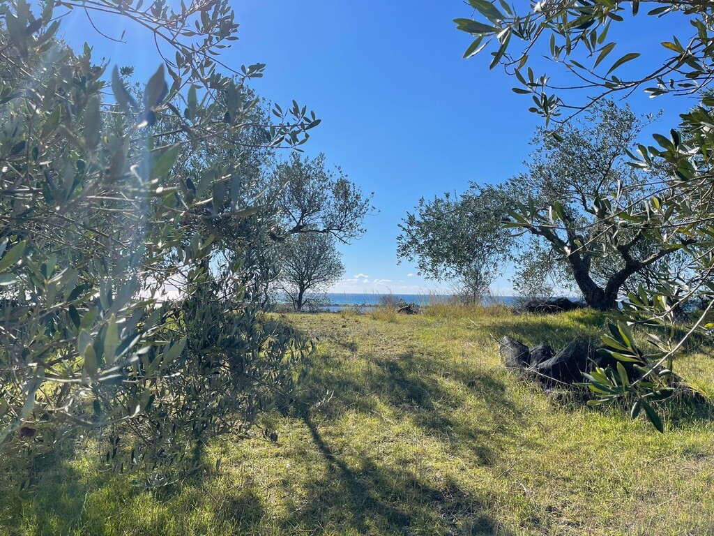 Land in Corfu, Corfu Prefecture, Greece – 49610