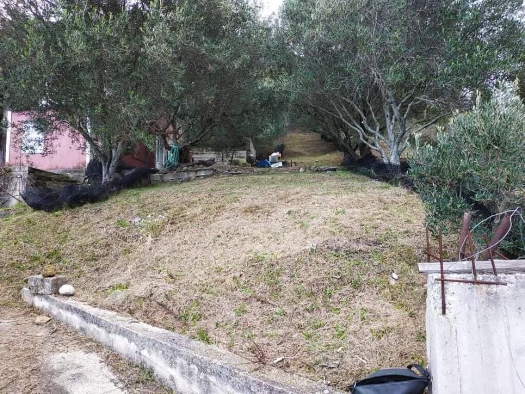 Land in Corfu, Corfu Prefecture, Greece – 49509