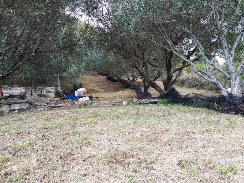 Land in Corfu, Corfu Prefecture, Greece – 49509