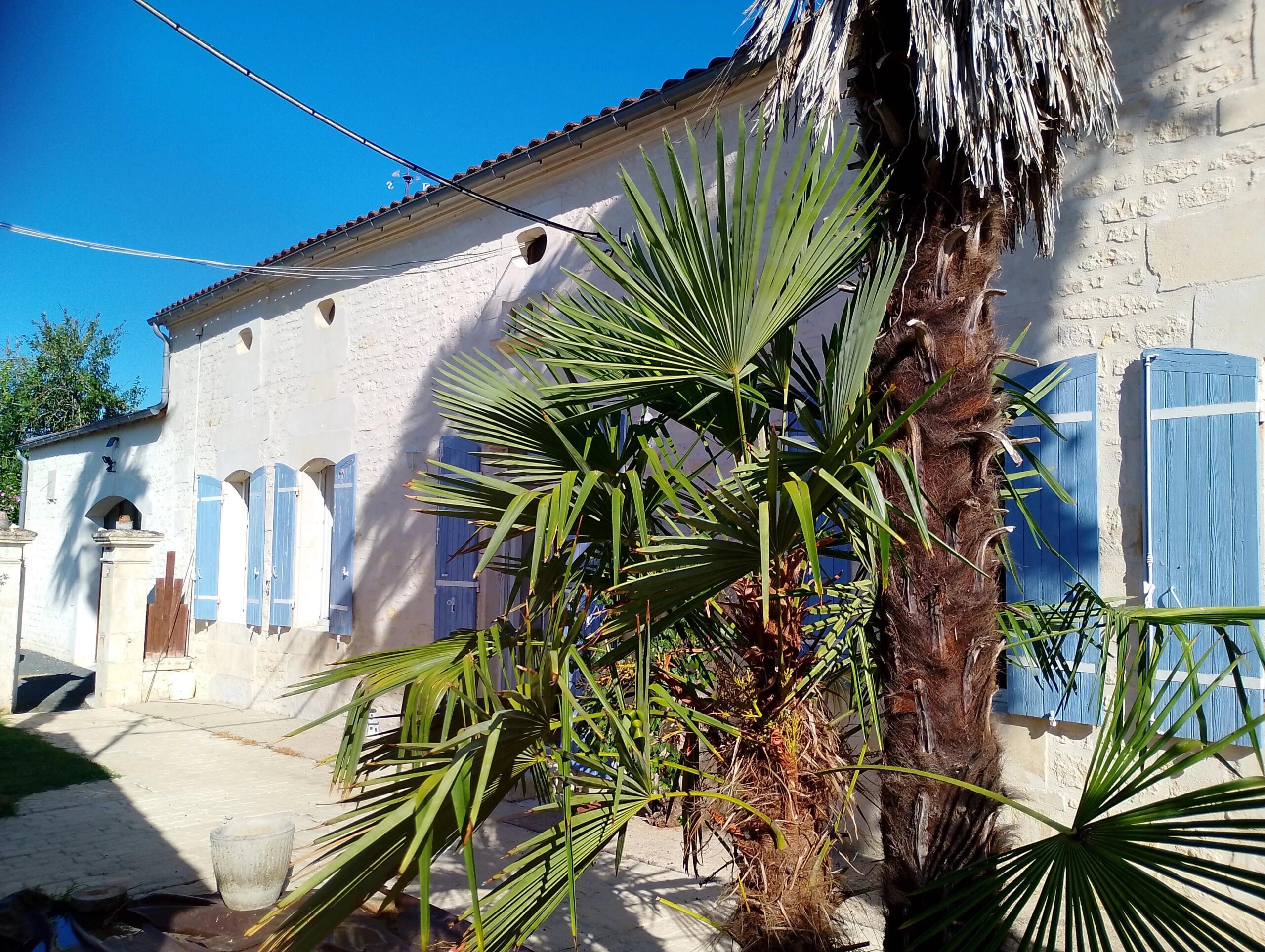 4-bed stone Charentaise and 3-bed guest house between Jonzac and Pons, Poitou-Charentes – France – BVI86236