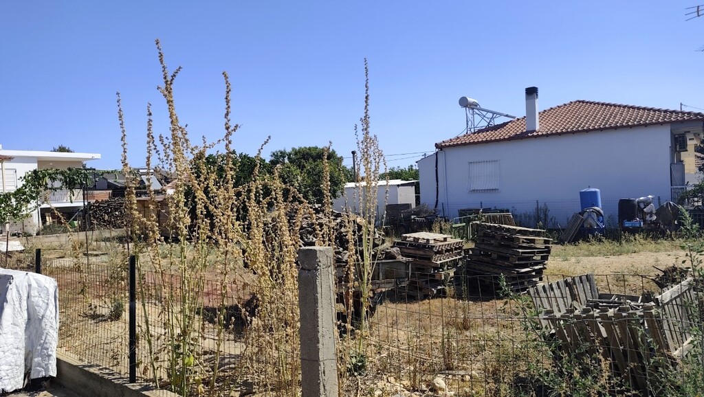 Land in Nea Propontida, Chalkidiki, Greece – 66859