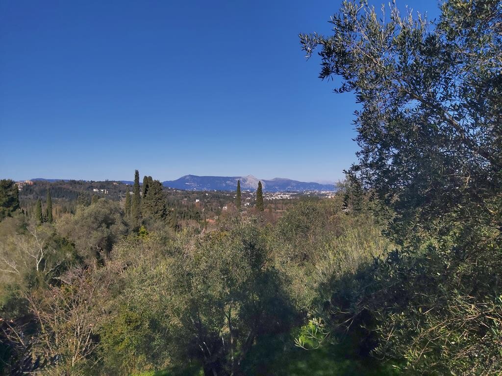 Land in Corfu, Corfu Prefecture, Greece – 49499