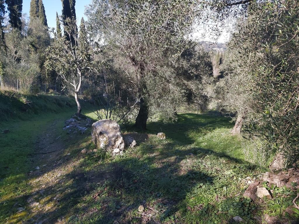 Land in Corfu, Corfu Prefecture, Greece – 49499