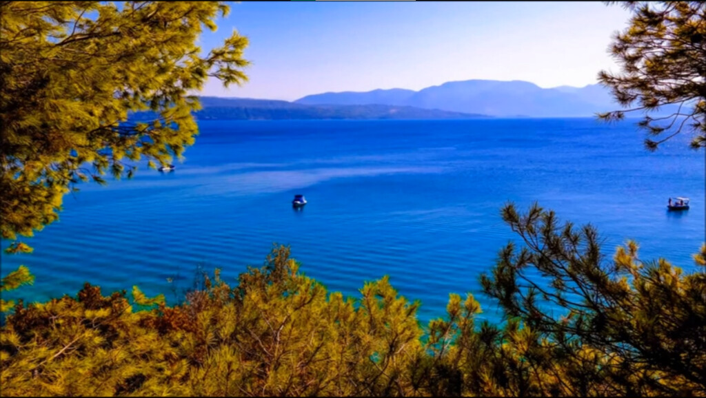 Land in Malesina, Phthiotis, Greece – 49498