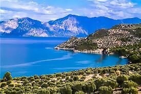 Land in Malesina, Phthiotis, Greece – 49498