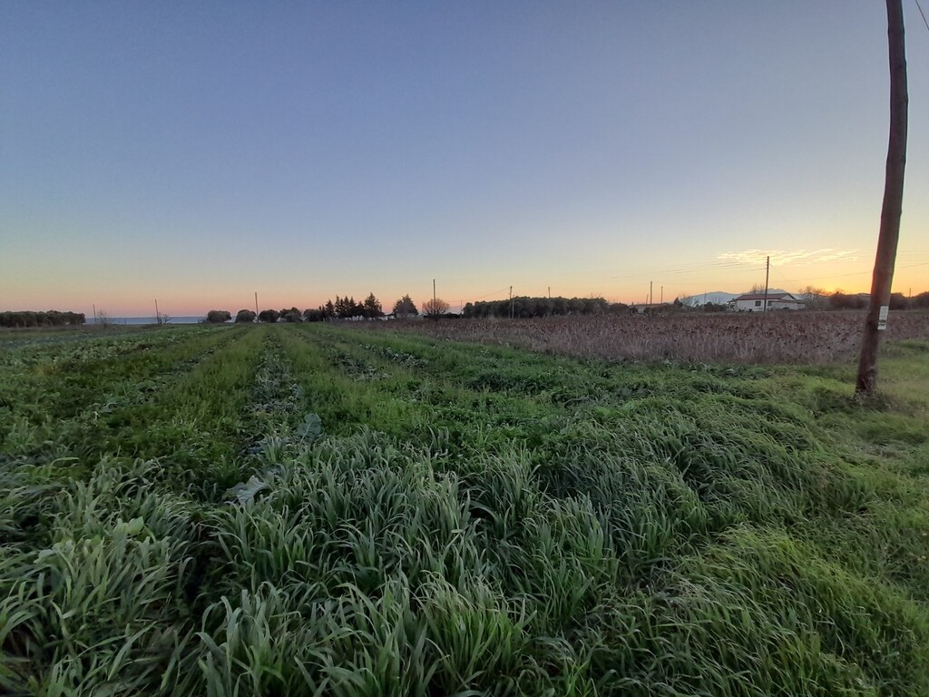 Land in Epanomi, Thessaloniki – Suburbs, Greece – 49478