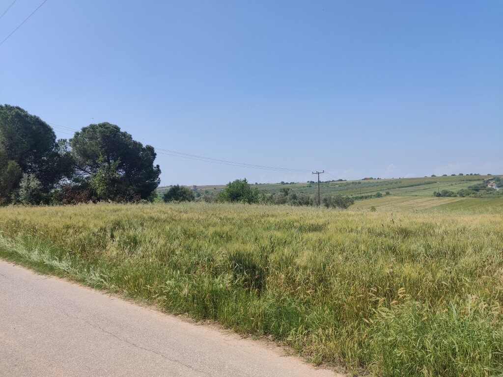 Land in Thermaikos, Thessaloniki – Suburbs, Greece – 49429
